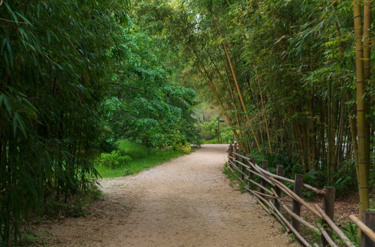 Парк Южные культуры и его велодорожки