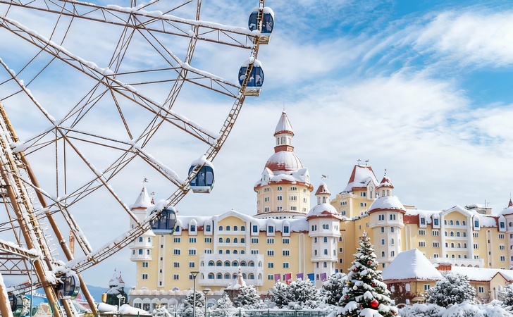 Сочи Парк зимой