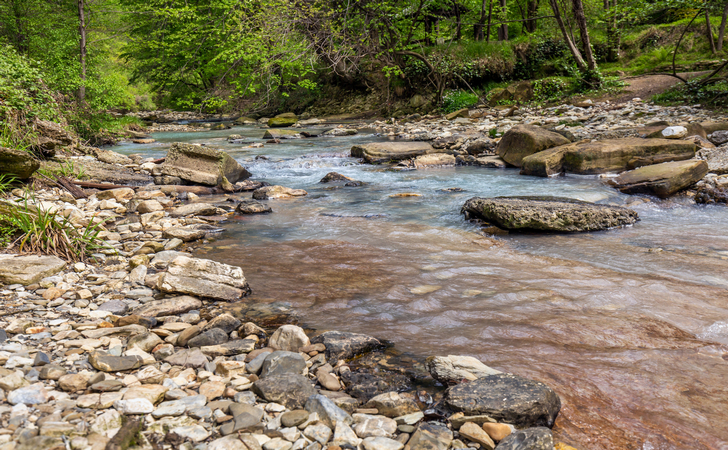 Весеннее путешествие в Сочи