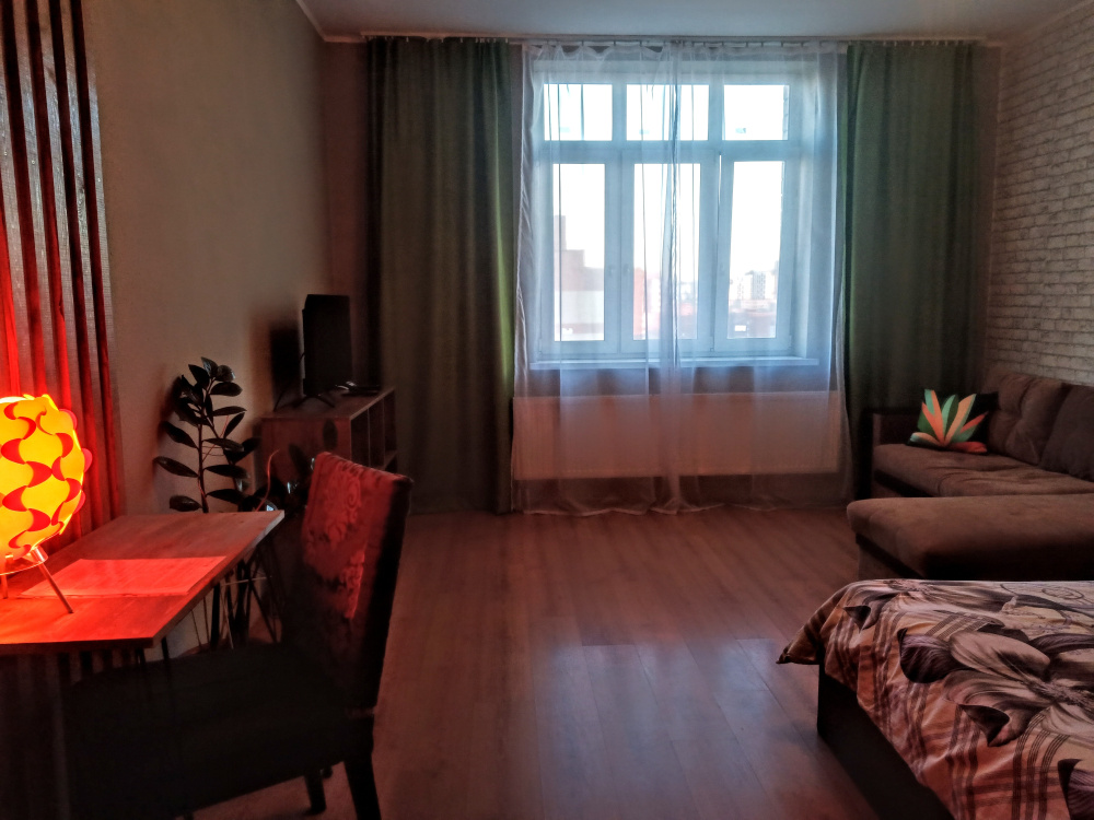 1-комнатная квартира Вилонова 24 в Екатеринбурге - фото 5