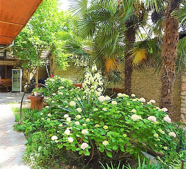 "Светлана" мини-гостиница в Алуште - фото 2