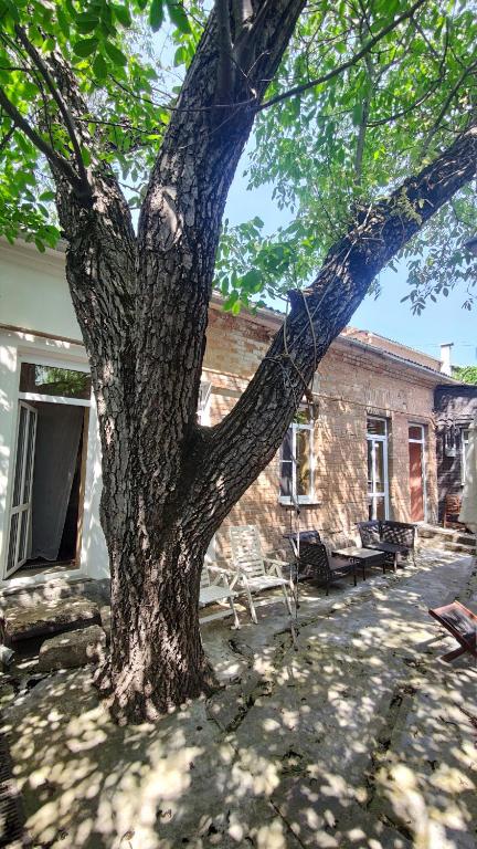 "Три Нарзана" гостевой дом в Пятигорске - фото 30