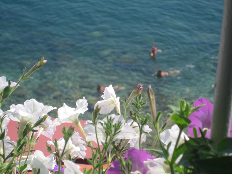 "Розовая жемчужина" эллинг в п. Утес (Алушта) - фото 16