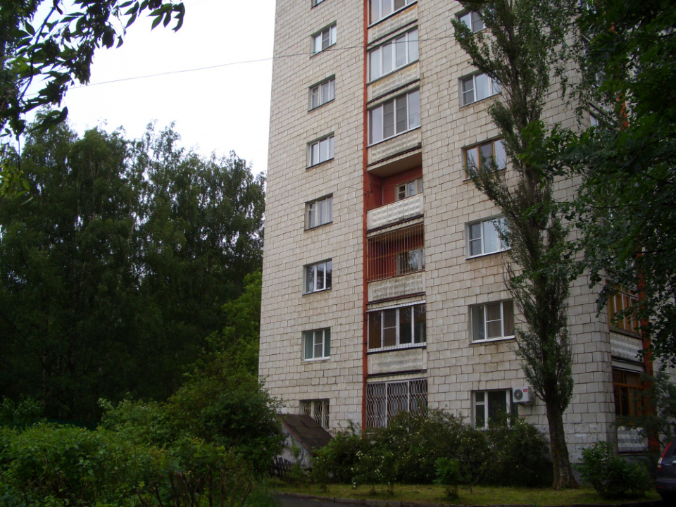 "Apartment Berezovaya roscha" 2х-комнатная квартира в Костроме - фото 9