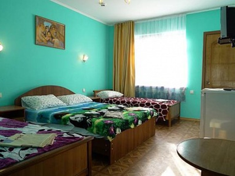 "Олеся" гостиница в Лазаревском - фото 42