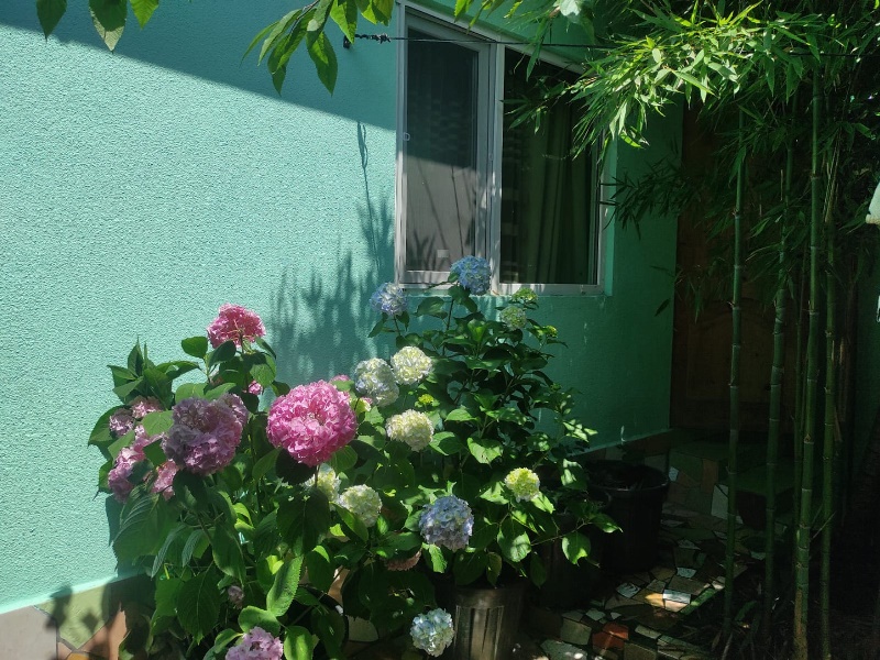 "Ирина" гостевой дом в Сухуме - фото 9