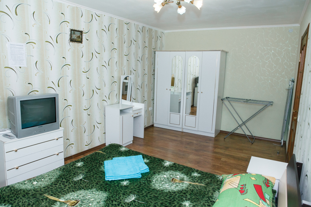 1-комнатная квартира Севастопольская 32 в Симферополе - фото 5