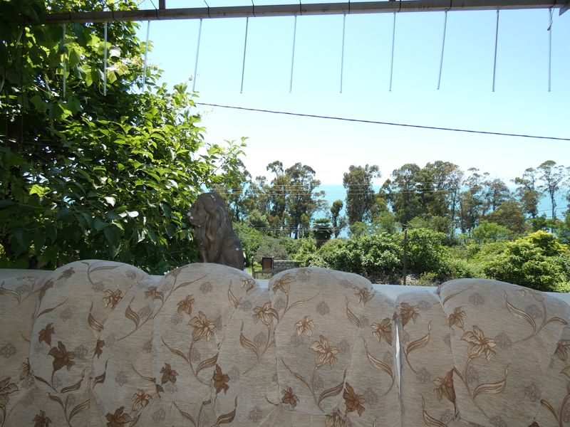 "Эдельвейс 2008" гостевой дом в Новом Афоне - фото 18
