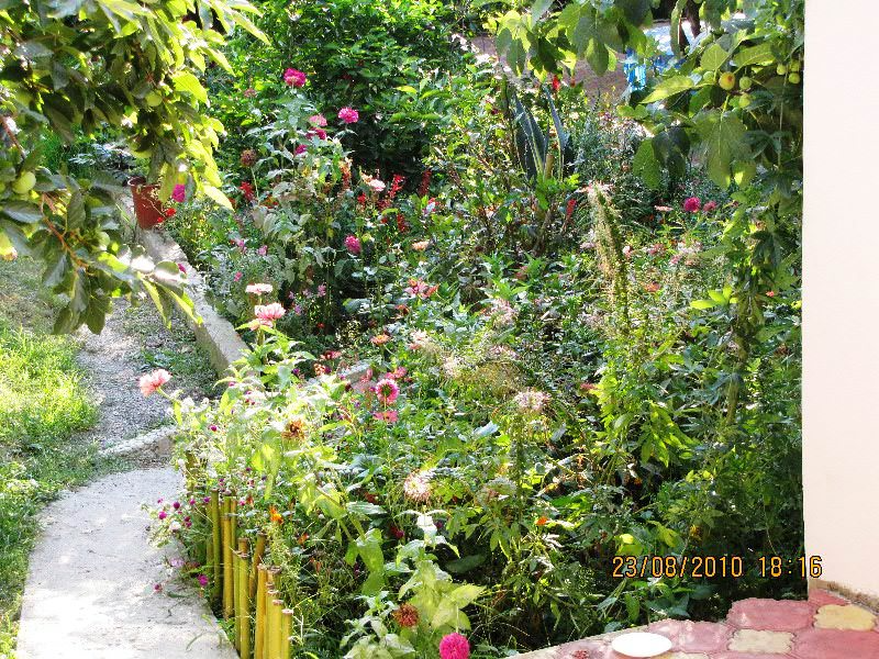 "Цветущий Сад" гостевой дом в Вардане - фото 6