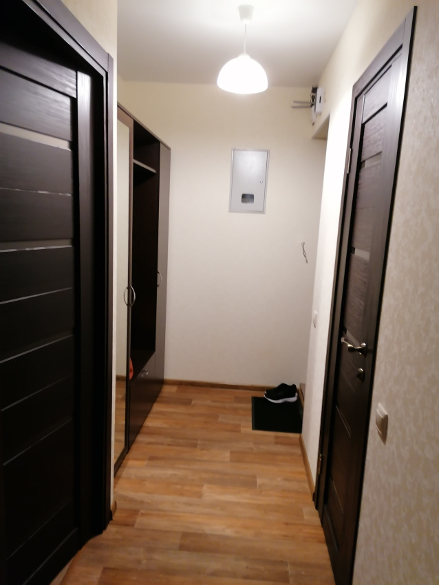 1-комнатная квартира Красносельское 63 в Пушкине - фото 7