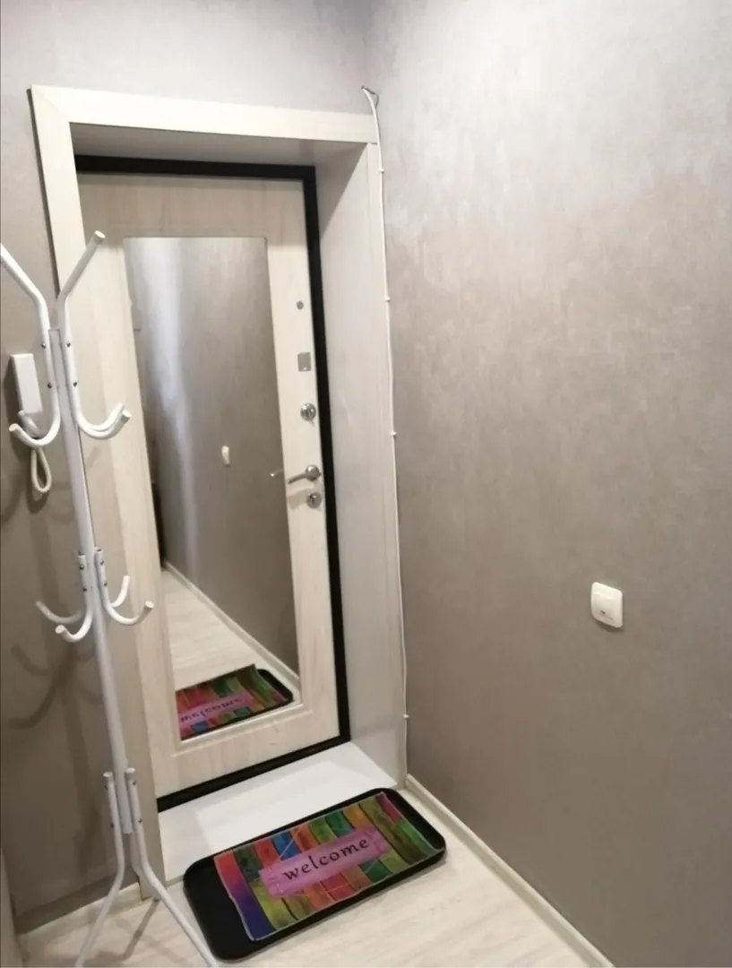 1-комнатная квартира Жуковского 19 в Арсеньеве - фото 9