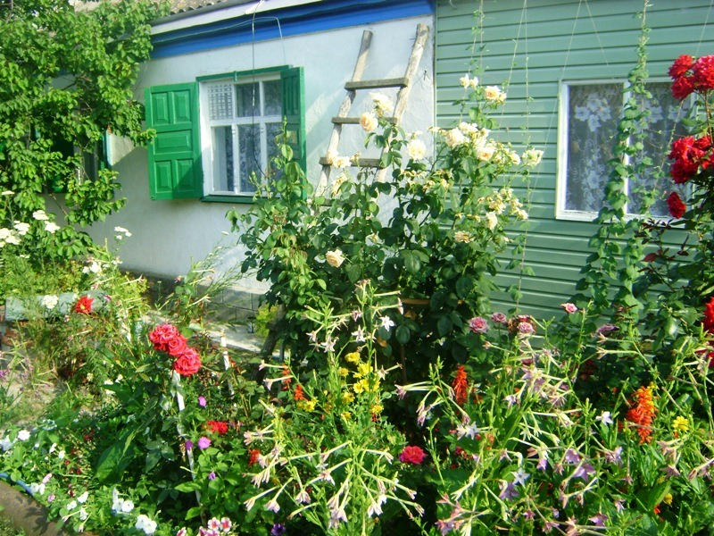 2 дома под-ключ Чапаева 15 в Должанской - фото 2