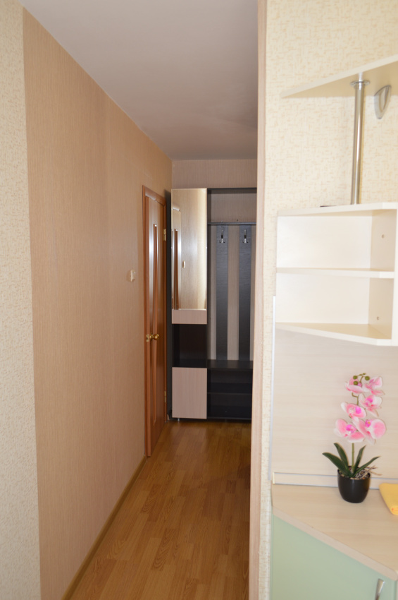 1-комнатная квартира Кирова 58 в Коломне - фото 10