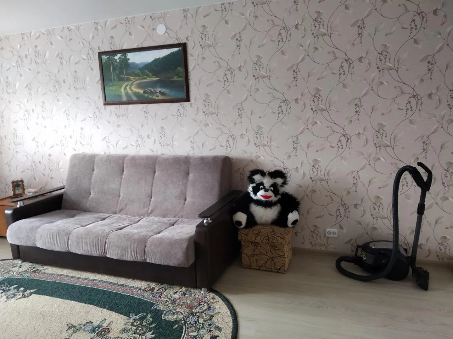 "У Михалыча" 1-комнатная квартира в Питкяранта - фото 3