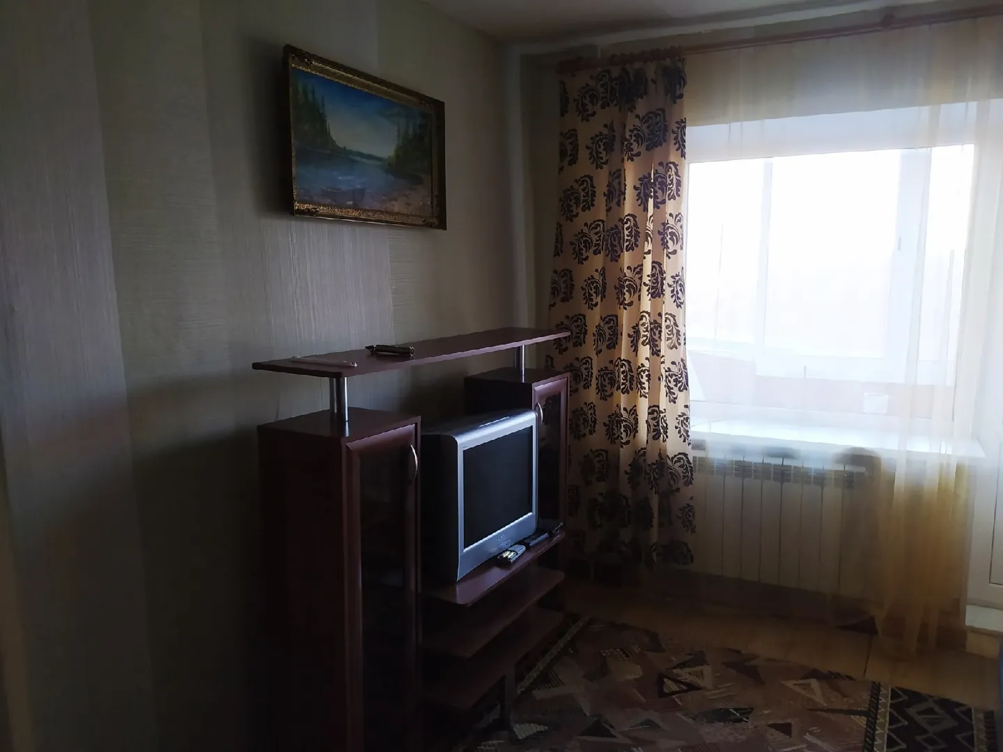 1-комнатная квартира Заводская 16 в Медвежьегорске - фото 6
