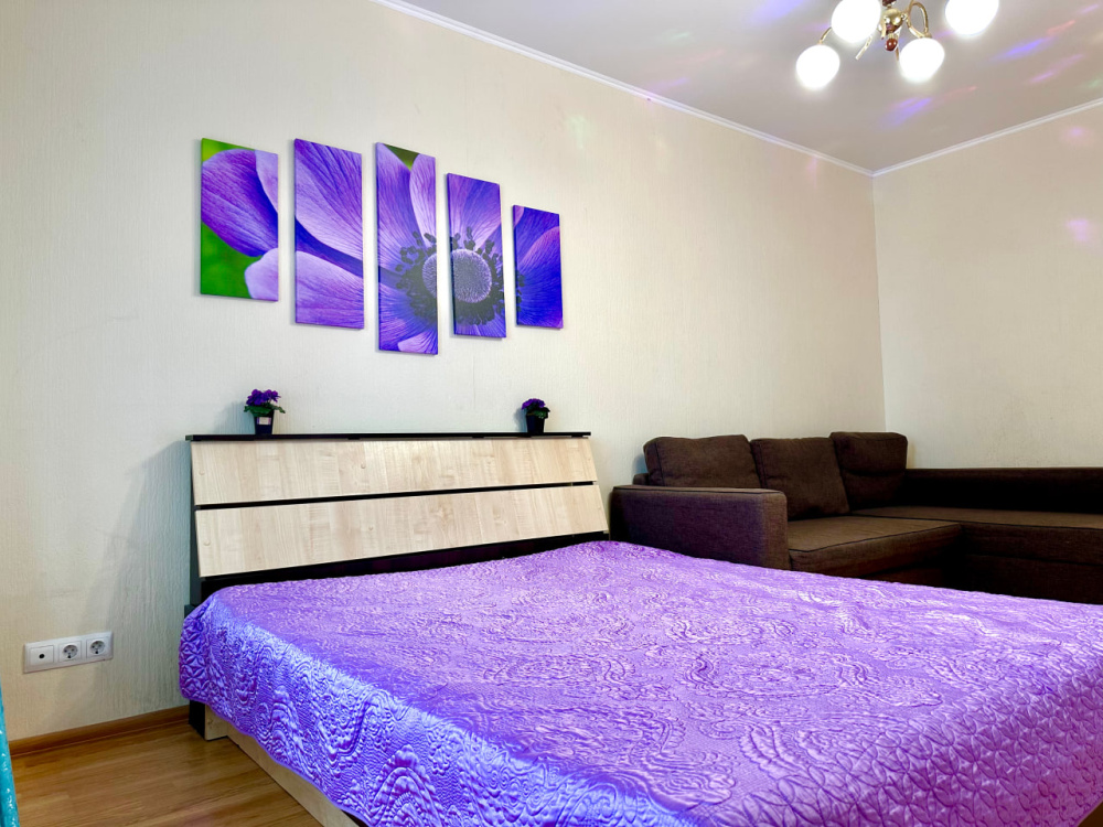 1-комнатная квартира Сибгата Хакима 44 в Казани - фото 4