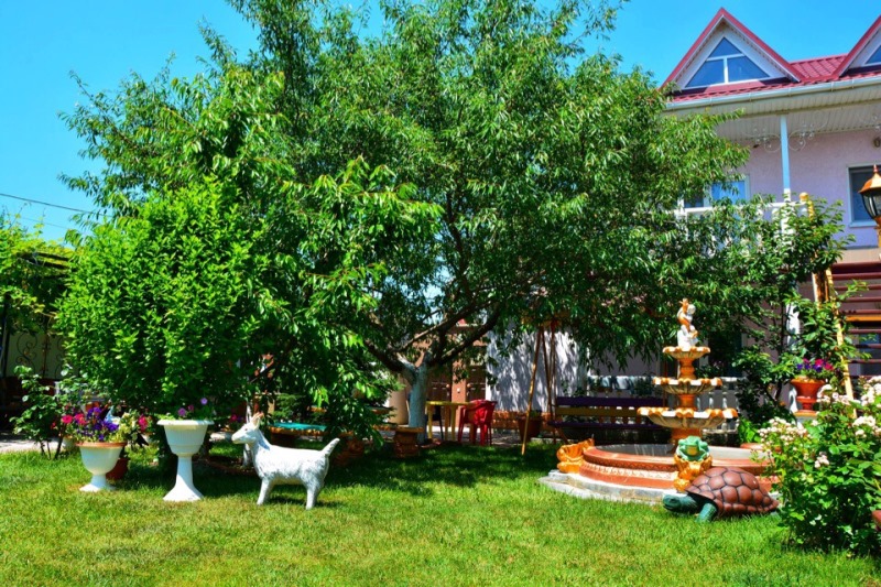 "Ласточка" гостевой дом в Николаевке - фото 8