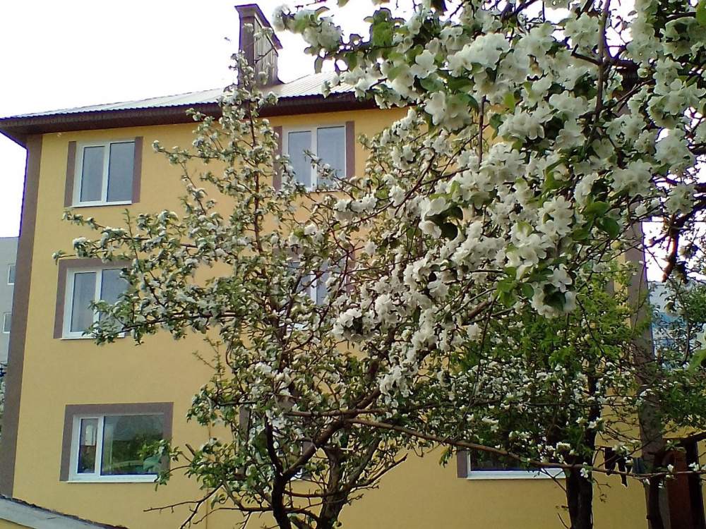 "Яблонька" гостевой дом в Самаре - фото 1