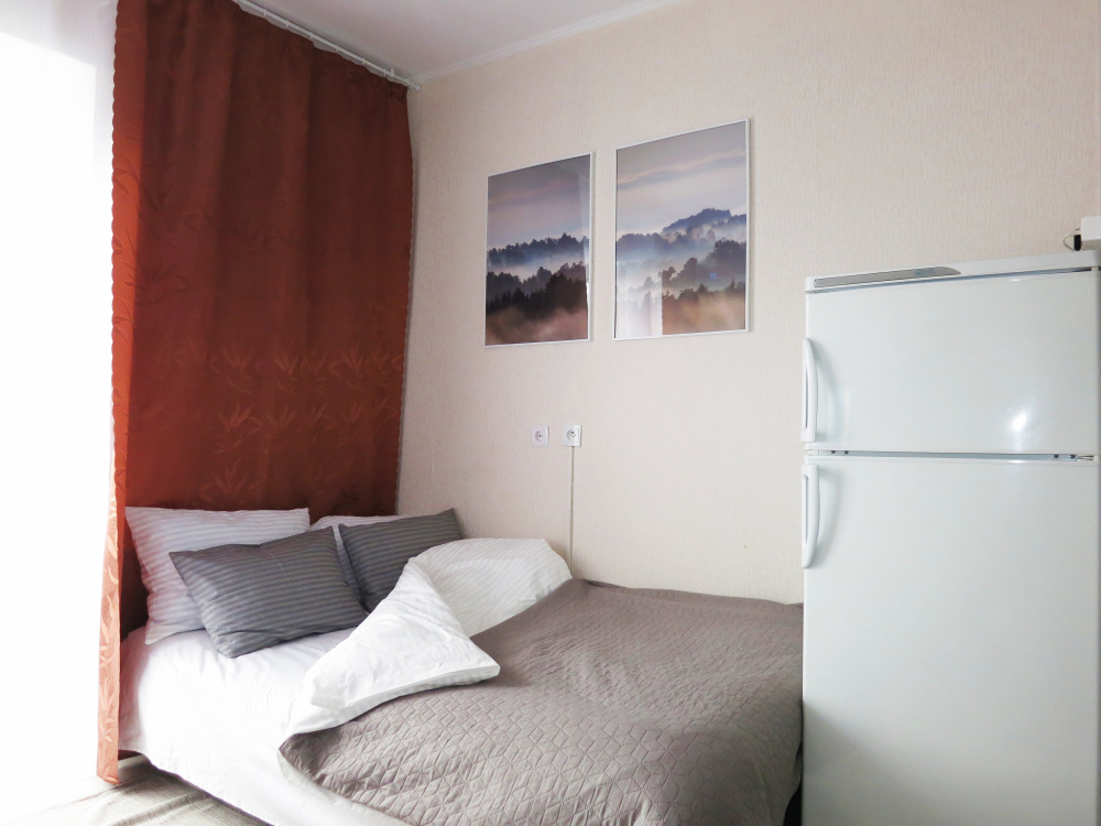 "Scandic Apartment" 1-комнатная квартира в Калининграде - фото 5