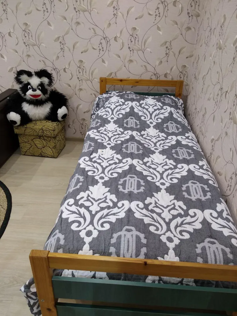 "У Михалыча" 1-комнатная квартира в Питкяранта - фото 5