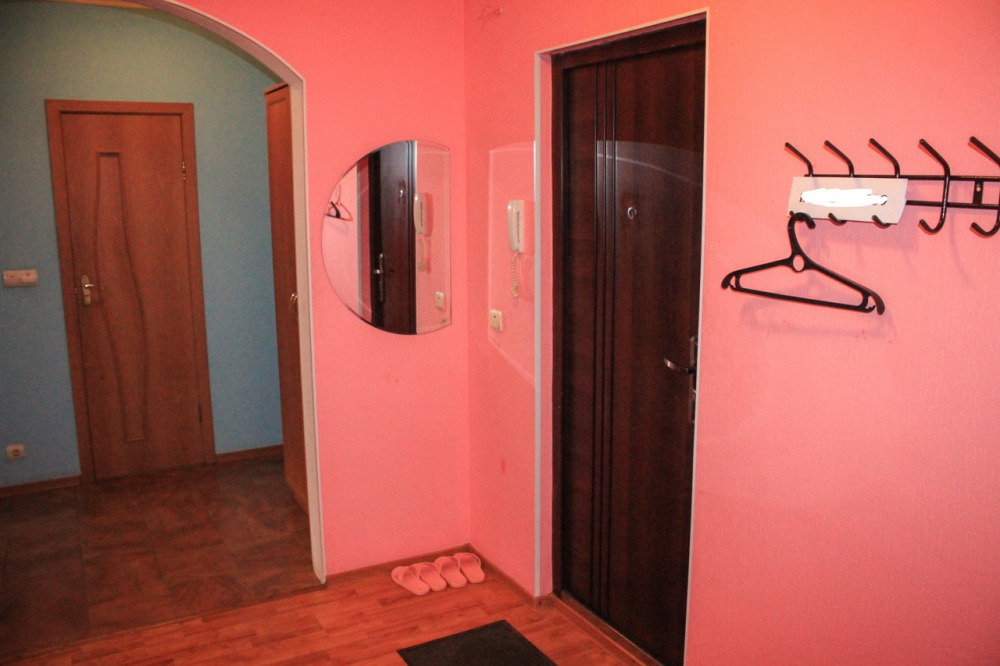 1-комнатная квартира Заречная 9 в Щёлково - фото 7