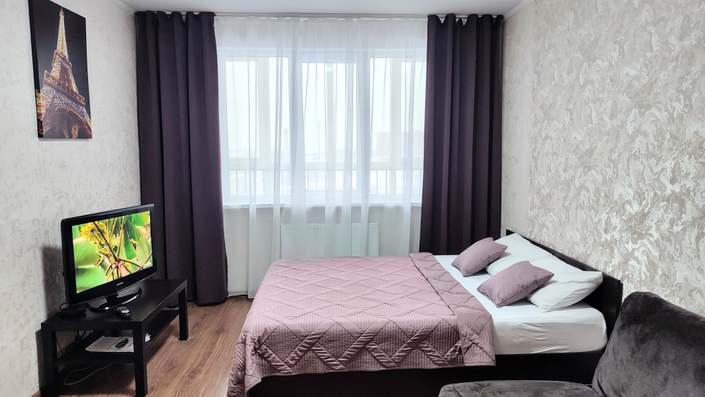 1-комнатная квартира Краснозвёздная 35 в Нижнем Новгороде - фото 2