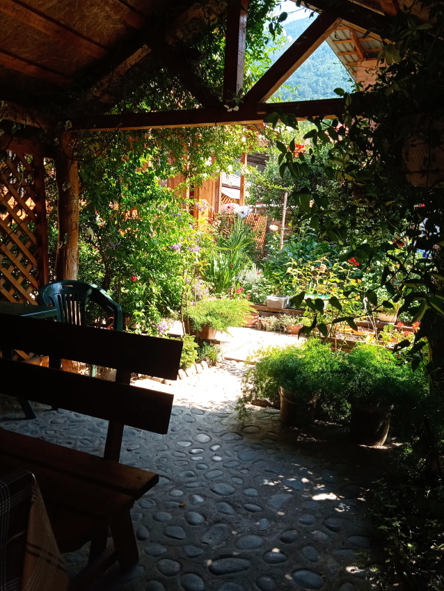 "Абхазский дворик" мини-гостиница в Гаграх - фото 33