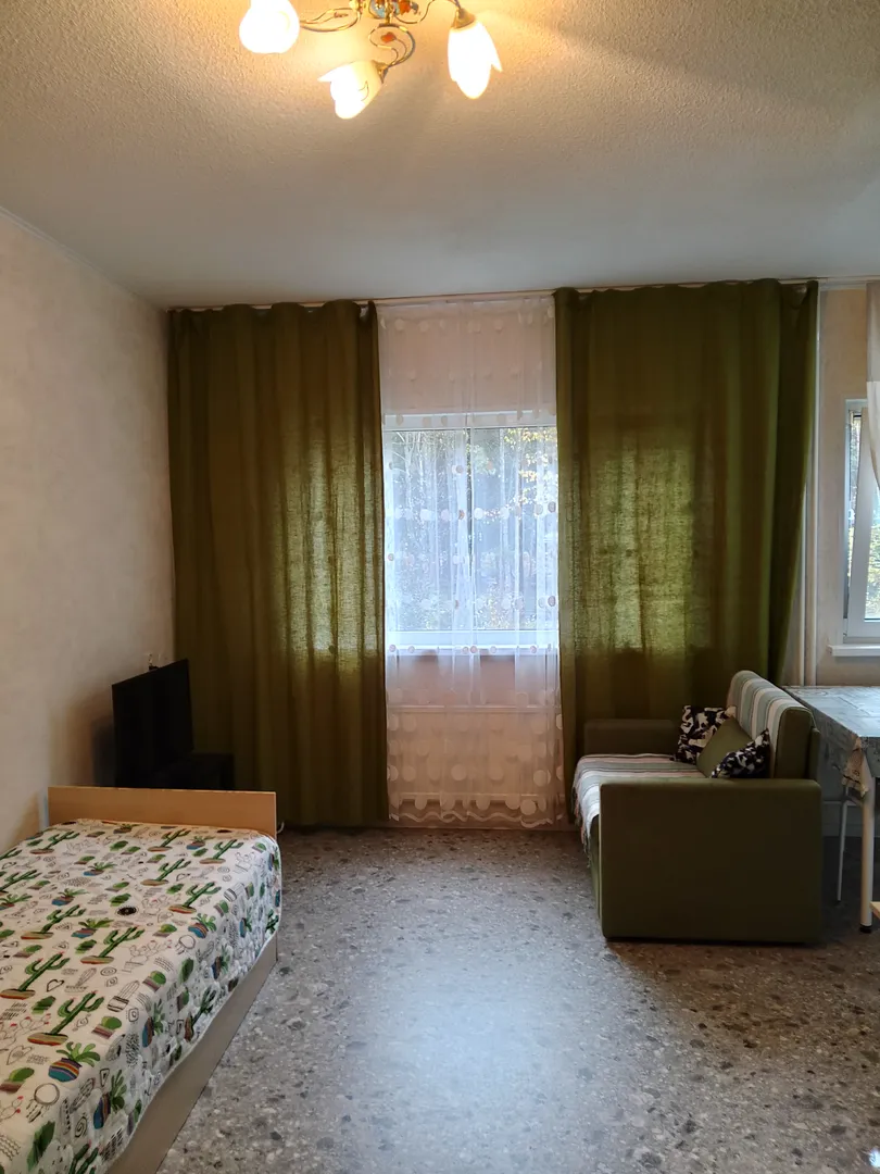 "Уютная с видом на лес" 1-комнатная квартира в Костомукше - фото 1