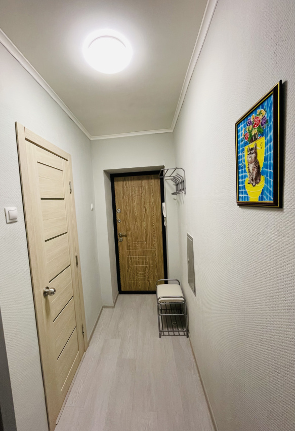 2х-комнатная квартира Некрасова 4 в Пскове - фото 13