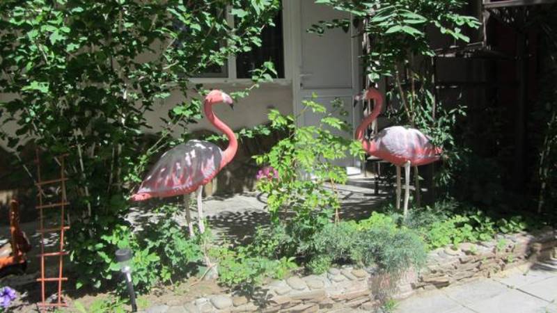 "Розовый Фламинго" мини-гостиница в Витязево - фото 4