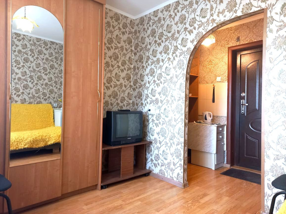 1-комнатная квартира Парашютная 21 в Красноярске - фото 9