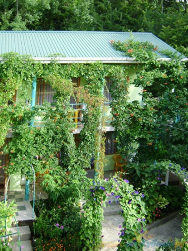 "Эдельвейс" гостевой дом в Новомихайловском - фото 5