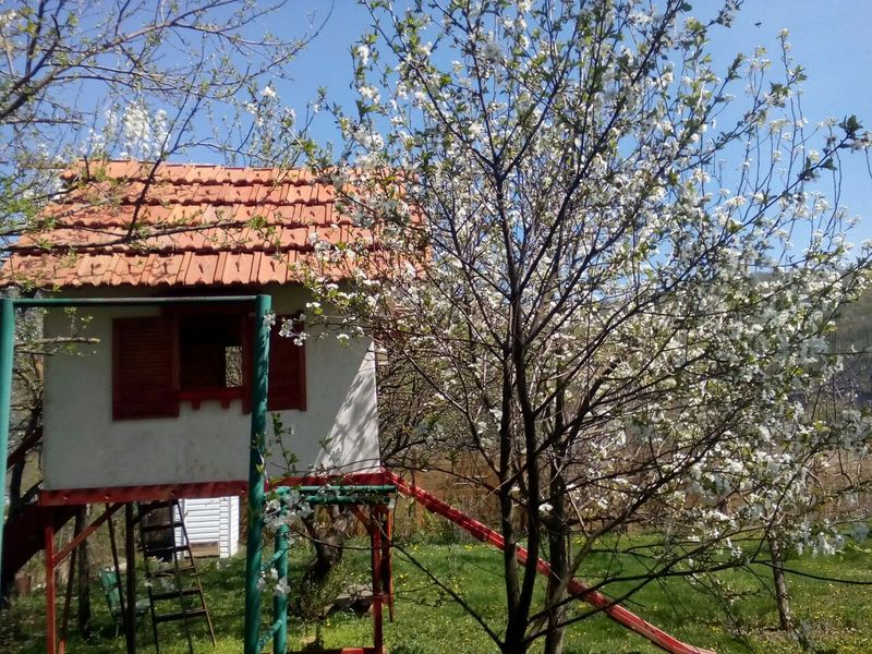 "Данилова дача" гостевой дом в Даховской - фото 4