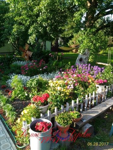 "Домик в Деревне" гостиница в Светлогорске - фото 1