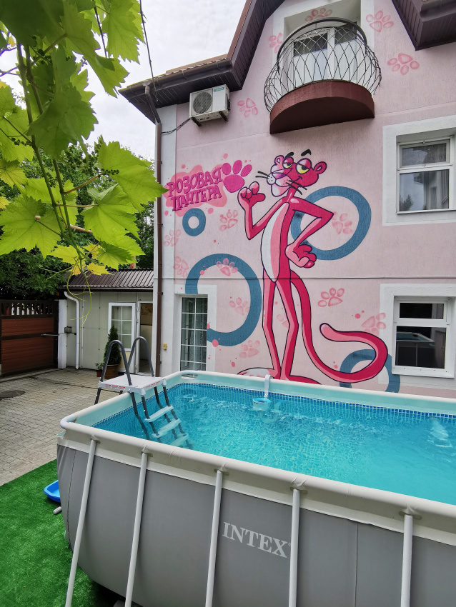 "Розовая Пантера" гостевой дом в Анапе - фото 4