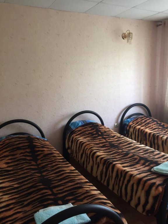 "Светлана" гостиница в Каслях - фото 1