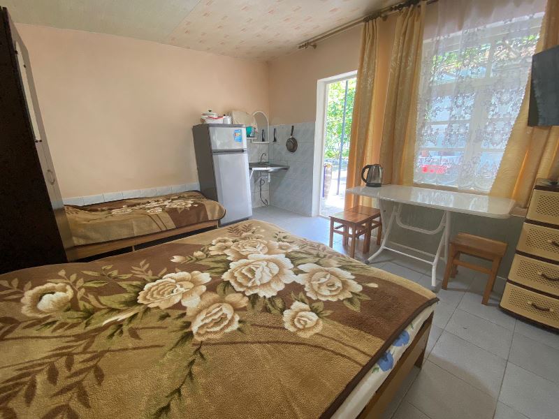 "Цветок граната" мини-гостиница в п. Лдзаа (Пицунда) - фото 24