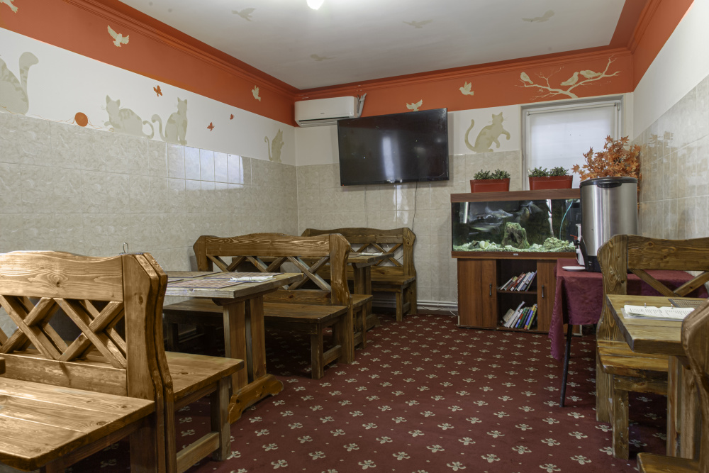 "Home Hotel Внуково" гостиница в Московском - фото 18