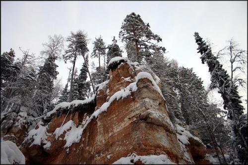 "Красная горка" гостевой дом в Шенкурске - фото 10