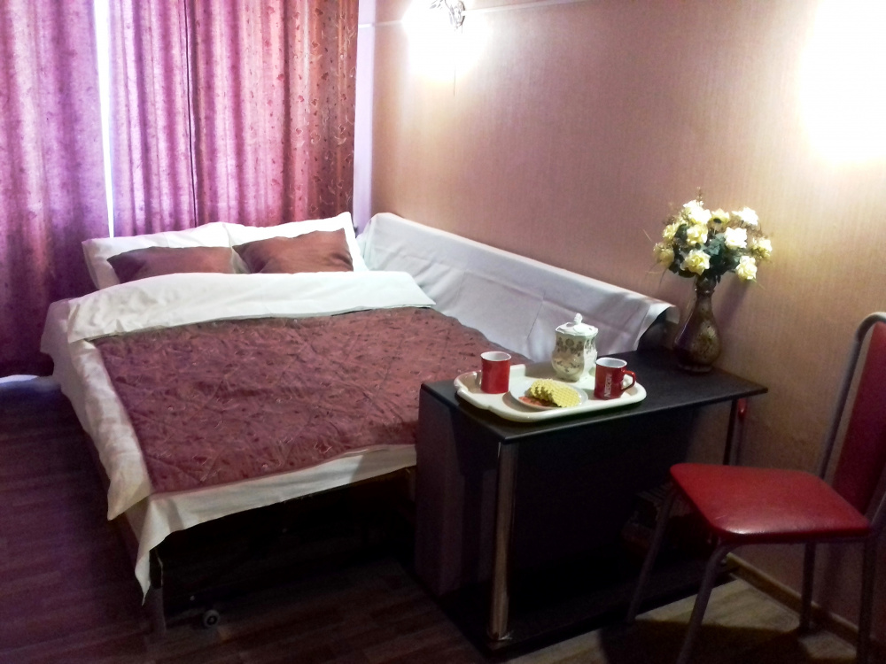1-комнатная квартира Пржевальского 5 в Ставрополе - фото 9
