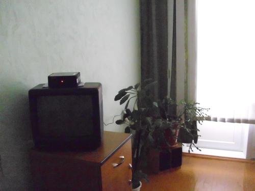 "Homestay" апартаменты в Железногорске - фото 4
