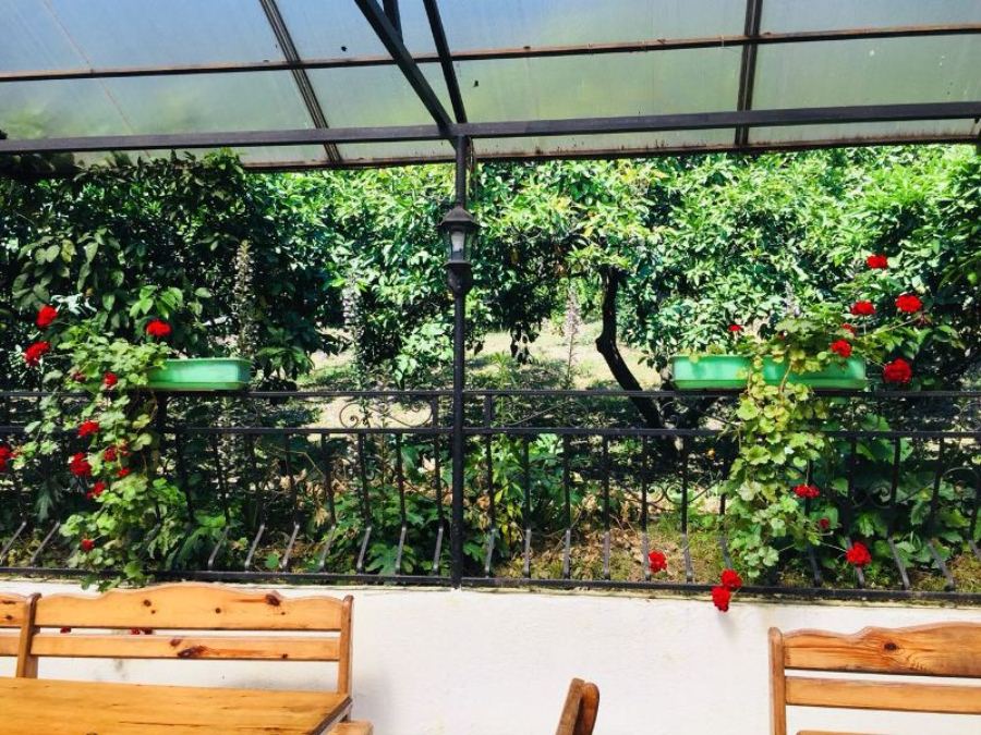 "Мандариновый сад" мини-гостиница в Гаграх - фото 18