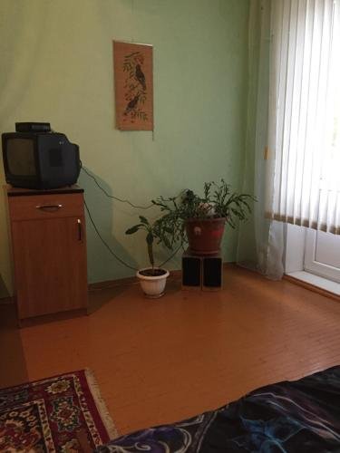 "Homestay" апартаменты в Железногорске - фото 5