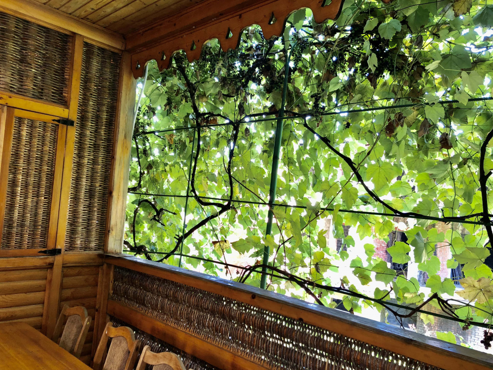 "Виноградный" мини-гостиница в Сочи - фото 21