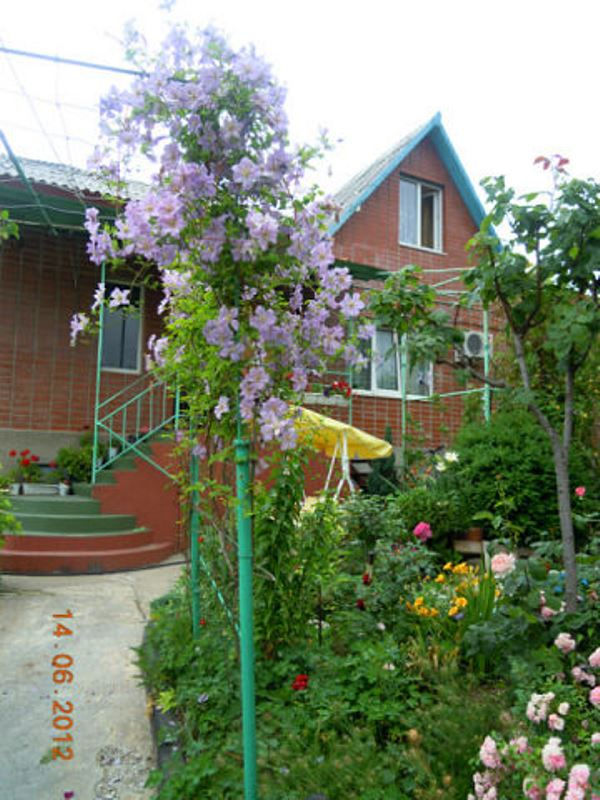 "Аморе" гостевой дом в Небуге - фото 1