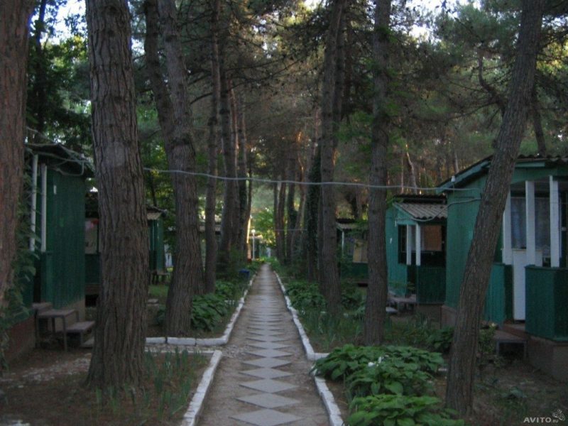 "Зеленый Гай" база отдыха в Дивноморском - фото 1