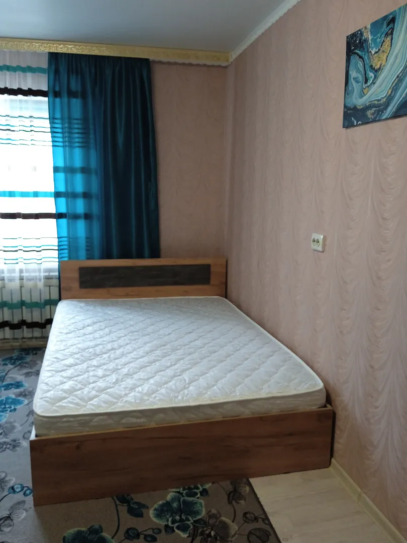 1-комнатная квартира Северный 19 в Павловске - фото 2
