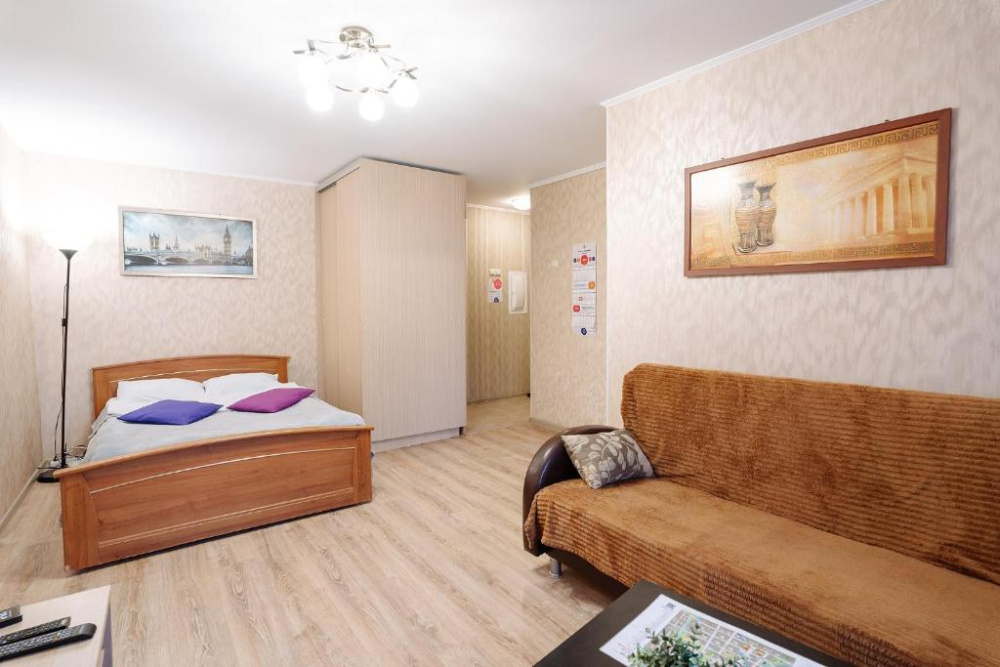 1-комнатная квартира Анохина 37 в Петрозаводске - фото 13