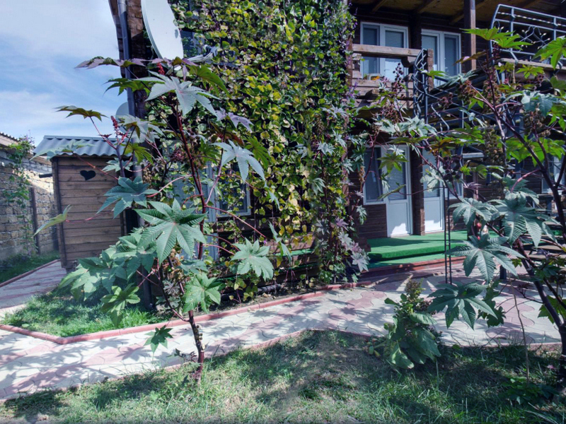 Гостевой дом Керченская 103 в п. Приморский (Феодосия) - фото 9