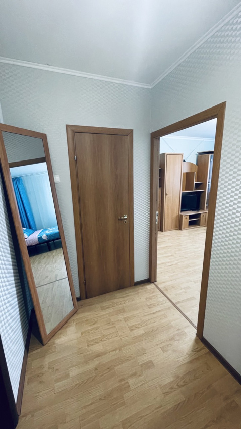 1-комнатная квартира Дмитриева 4 в Балашихе - фото 6